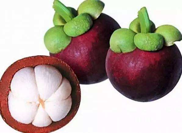 深圳市偉泰發餐（cān）飲管理有限公司-山竹