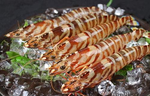 深圳市偉泰發餐飲管理有限公司-九（jiǔ）節蝦