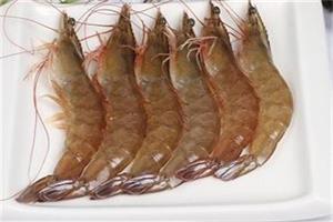 基圍蝦配送_深圳市偉泰發餐飲管理有限公司