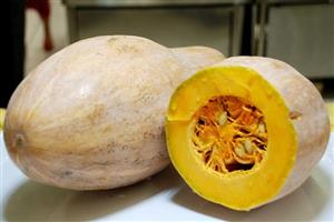 老南瓜_深圳市偉泰發餐飲（yǐn）管理有限公司