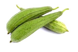 深圳市偉泰發餐飲管理有（yǒu）限公司-肉絲瓜