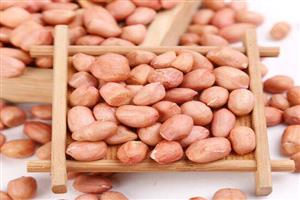 深圳市偉泰發餐（cān）飲管理有限公司-花生米