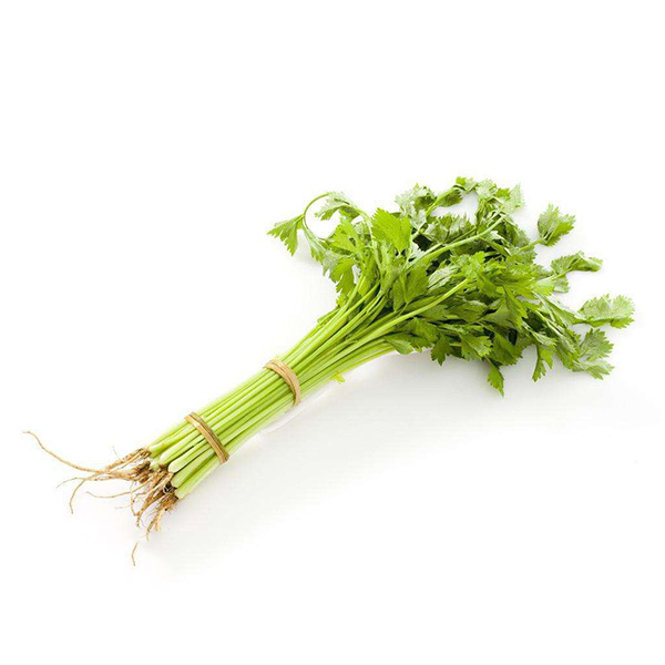 惠(huì)州蔬(shū)菜配送哪家好