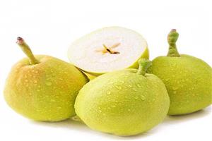 香梨（lí）_深圳市偉泰發餐飲管理有限公司