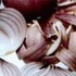 廣州（zhōu）送（sòng）菜公司帶你詳細認識小龍（lóng）蝦(圖10)