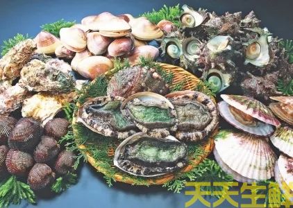 廣州送菜（cài）公司分享：常見的海鮮貝類有哪些？(圖1)