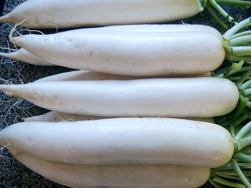 蔬菜批發