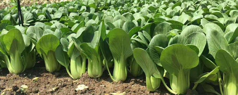 9e60c4d6e62cf937e926ef985b59e907 (1).jpg 9e60c4d6e62cf937e926ef985b59e907 (1).jpg