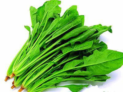 985d341bc503b20dc891037796b96585.jpg 985d341bc503b20dc891037796b96585.jpg