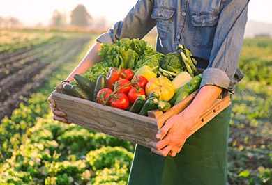 d492ba8ce4e3b5717cb92729ce51845d.jpg d492ba8ce4e3b5717cb92729ce51845d.jpg