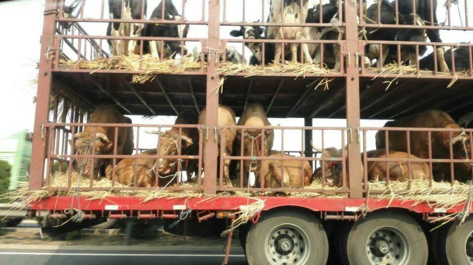 4e4d532e94d0c3e380df21bbf1752d85.jpg 4e4d532e94d0c3e380df21bbf1752d85.jpg