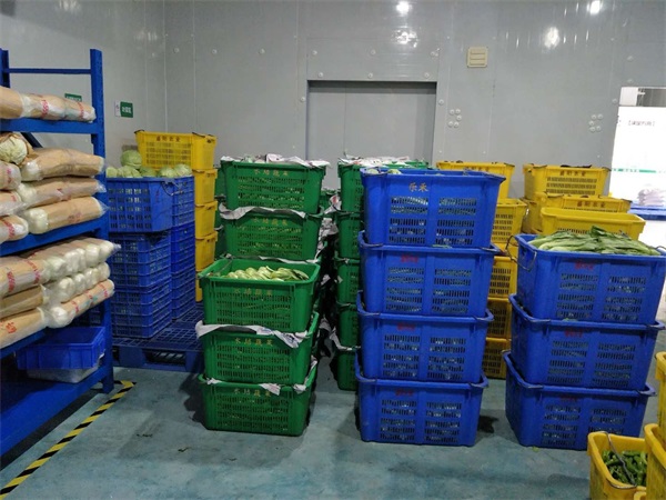 東莞蔬菜配送分析單位食堂蔬菜采購如（rú）何提高采購效率?