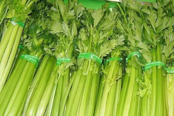 東莞農產（chǎn）品配送分享怎樣挑選（xuǎn）新鮮的西芹