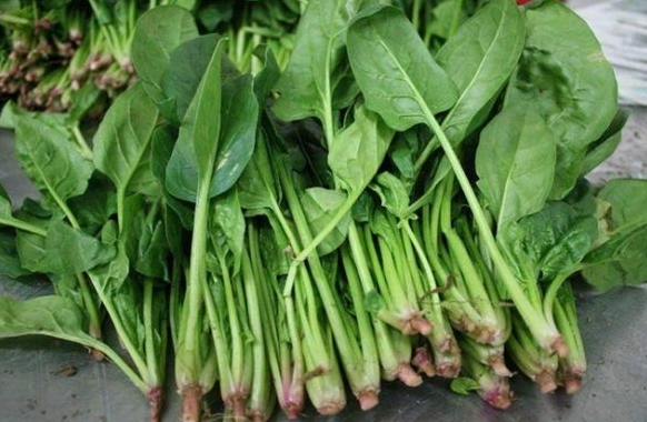 深圳送（sòng）菜公司 春季（jì）吃什麽蔬菜好（hǎo）？以下3種蔬菜（cài）不要錯過