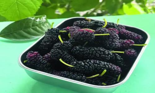 適合（hé）秋（qiū）季食用的水果