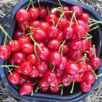 74435ce569d37894.jpg 74435ce569d37894.jpg