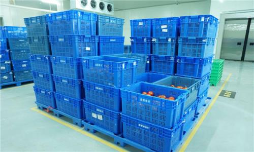 深圳送菜分享（xiǎng）蔬菜食品（pǐn）的存放標準‌